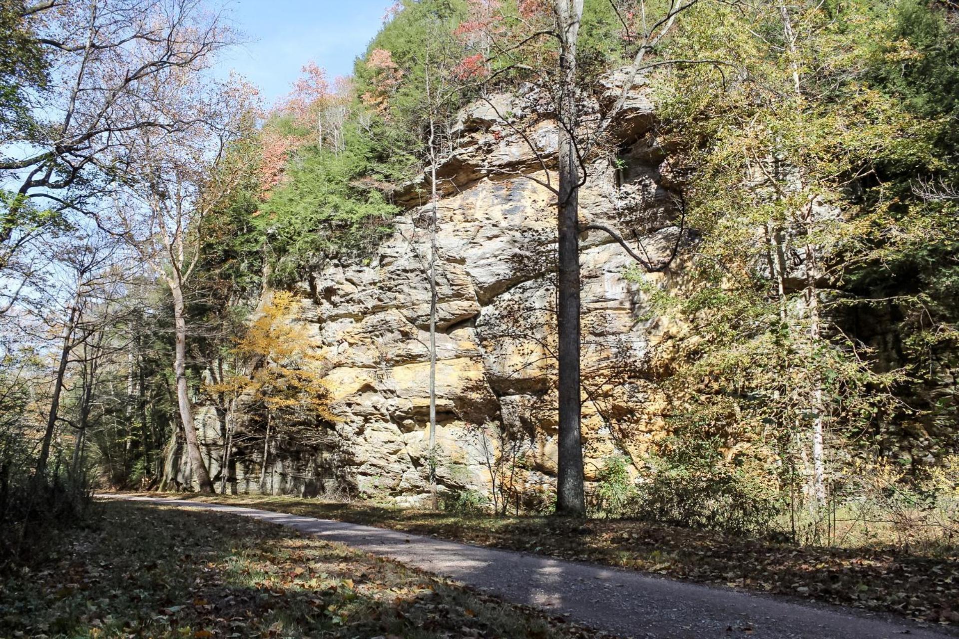 Russell Cabin Logan Luaran gambar